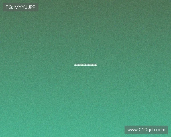 灵动档案：解锁数据世界的无限可能